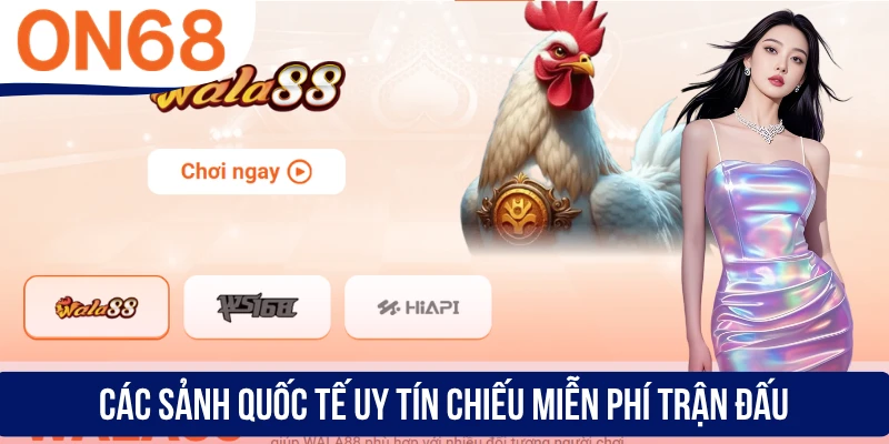 Các sảnh quốc tế uy tín chiếu miễn phí trận đấu