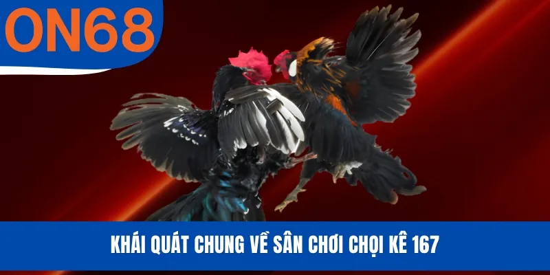 Khái quát chung về sân chơi chọi kê 167