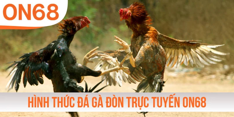 Khám phá hình thức đá gà đòn trực tuyến ON68
