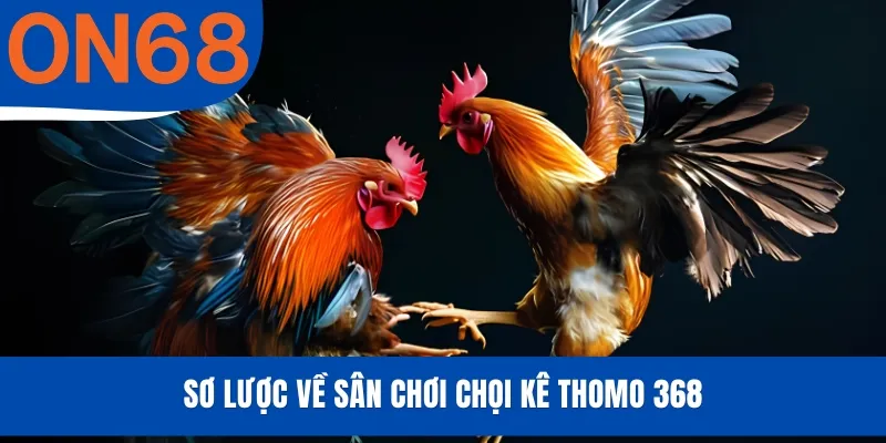 Sơ lược về sân chơi chọi kê Thomo 368