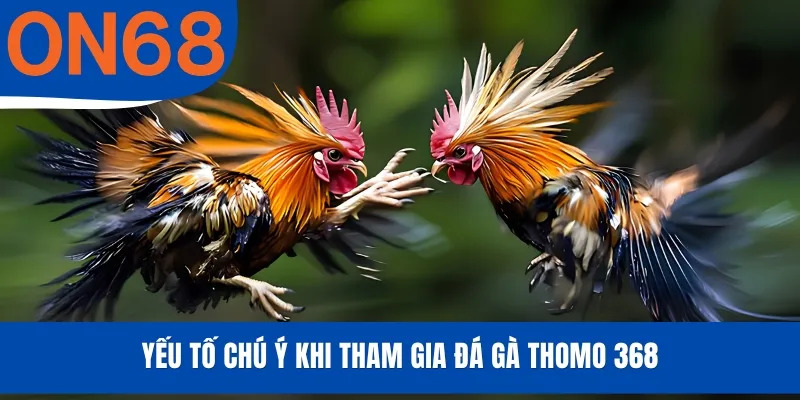 Yếu tố chú ý khi tham gia đá gà Thomo 368